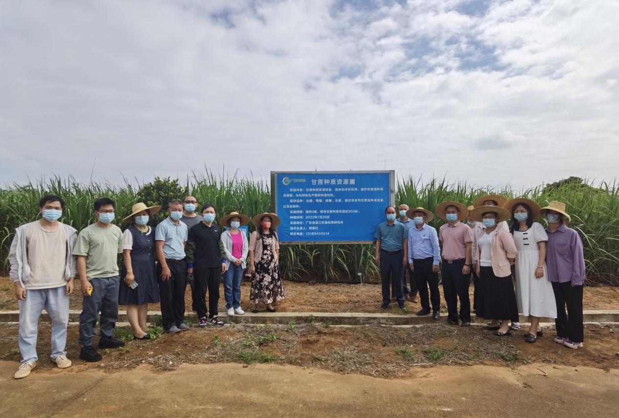 202211251607237468.jpg 202211251607237468.jpg