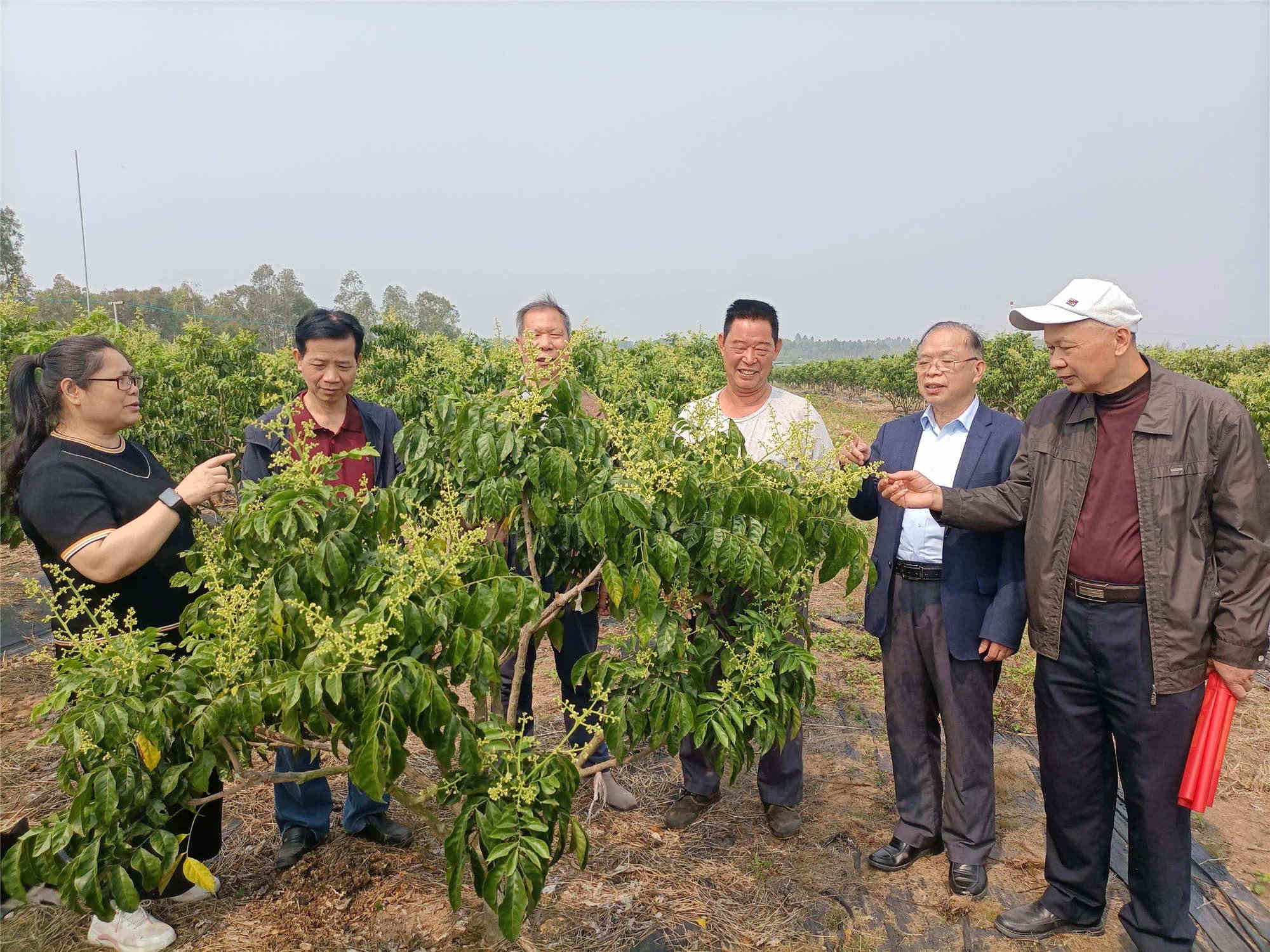 202303091007110958.jpg 202303091007110958.jpg