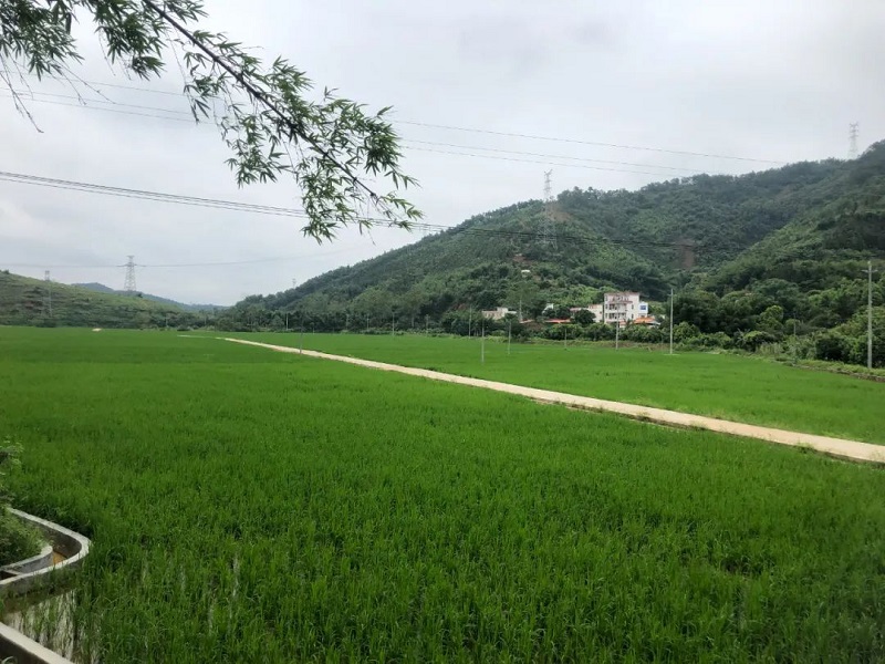 202306071146487329.jpg 202306071146487329.jpg