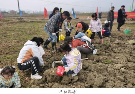 202401121548368799.png 202401121548368799.png